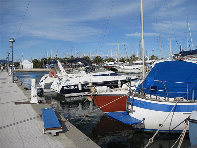 IMG 3951
