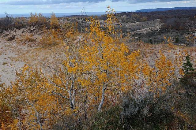 Sleeping Bear Dunes National Lakeshore