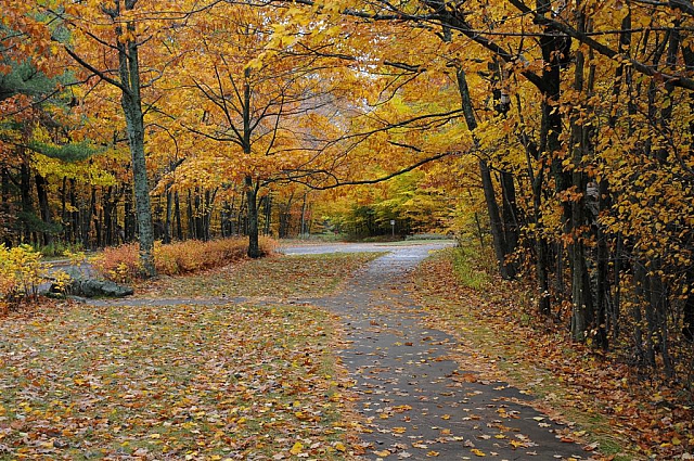 Sleeping Bear Dunes National Lakeshore