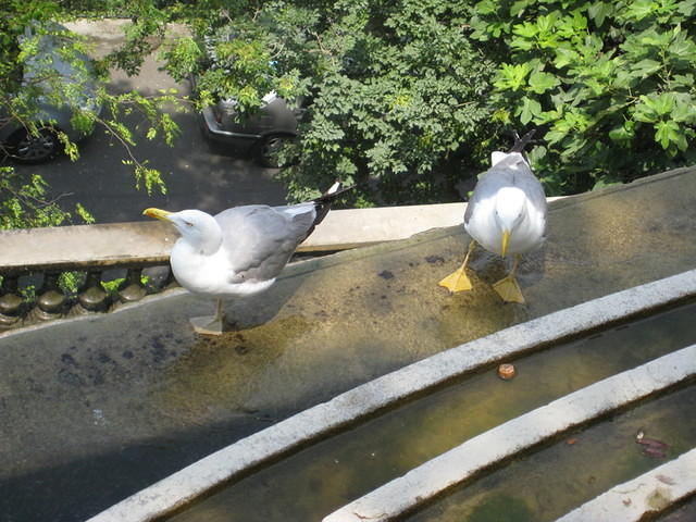 IMG_0377.jpg