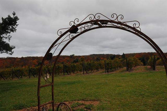 Silver Leaf Vineyard