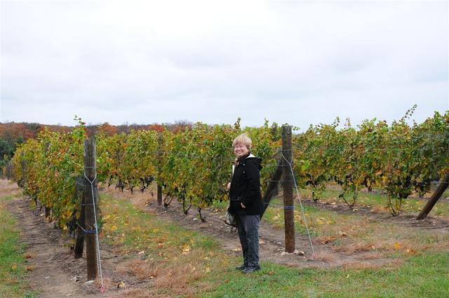 Erin in the vineyard