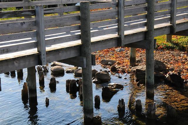 Walking around the marina