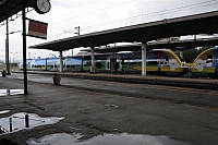 WDS 7431