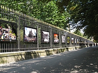 Album - Jardin du Luxembourg - (Luxembourg Gardens, Paris)