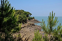 Île-d'Aix