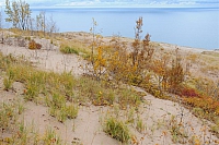 Sleeping Bear Dunes National Lakeshore