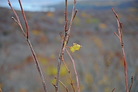 Sleeping Bear Dunes National Lakeshore