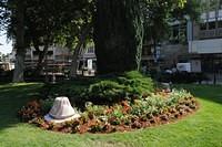 WDS_3748_Large.jpg