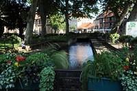 WDS_3754_Large.jpg