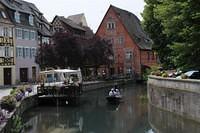 WDS_3809_Large.jpg