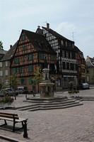 WDS_3826_Large.jpg