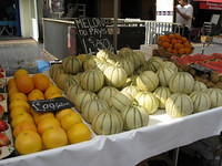 IMG_0345.jpg