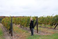 Erin in the vineyard